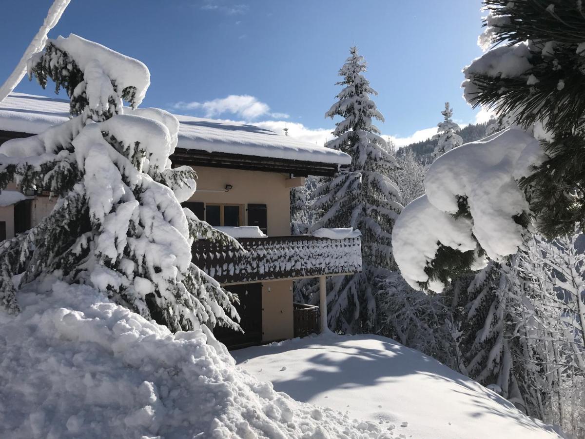 Chalet Les Trolles 레게츠 외부 사진